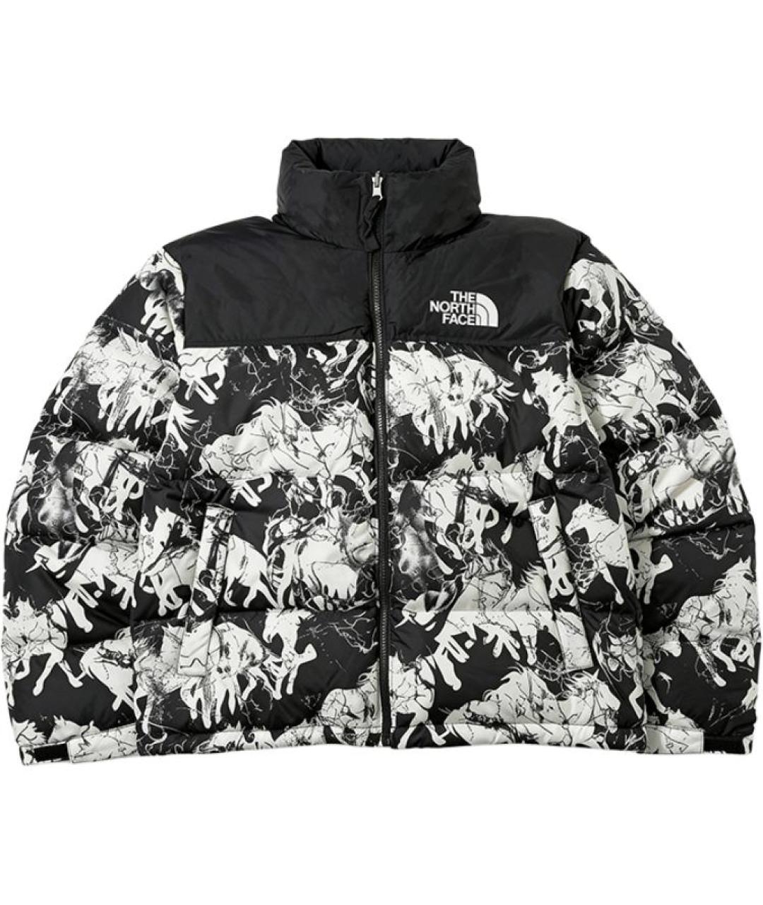 THE NORTH FACE Мульти куртка, фото 1