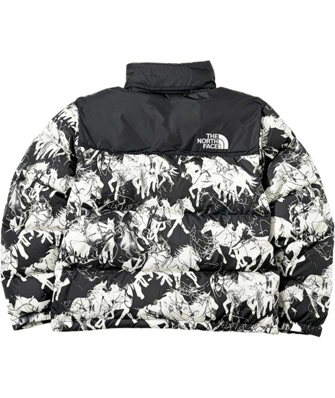 THE NORTH FACE Мульти куртка, фото 2