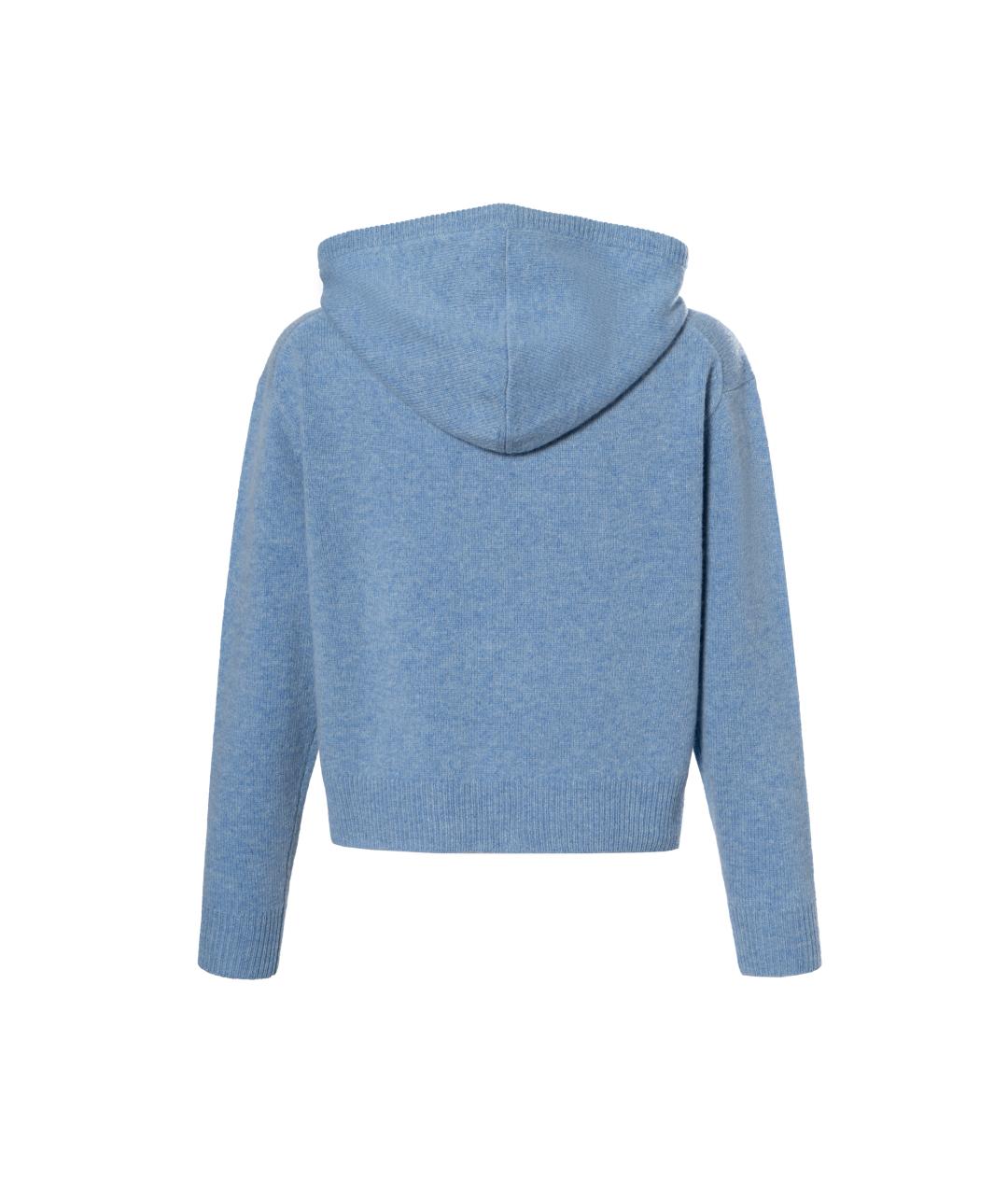 POLO RALPH LAUREN Голубой джемпер / свитер, фото 2