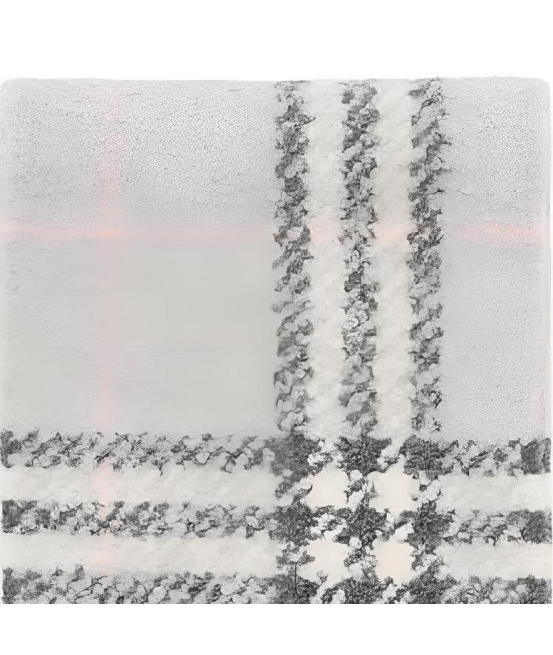 BURBERRY Серый шарф, фото 3