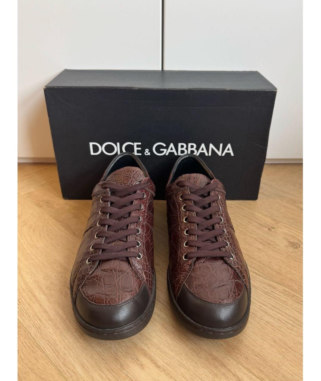 DOLCE&GABBANA Коричневые низкие кроссовки / кеды из экзотической кожи, фото 2