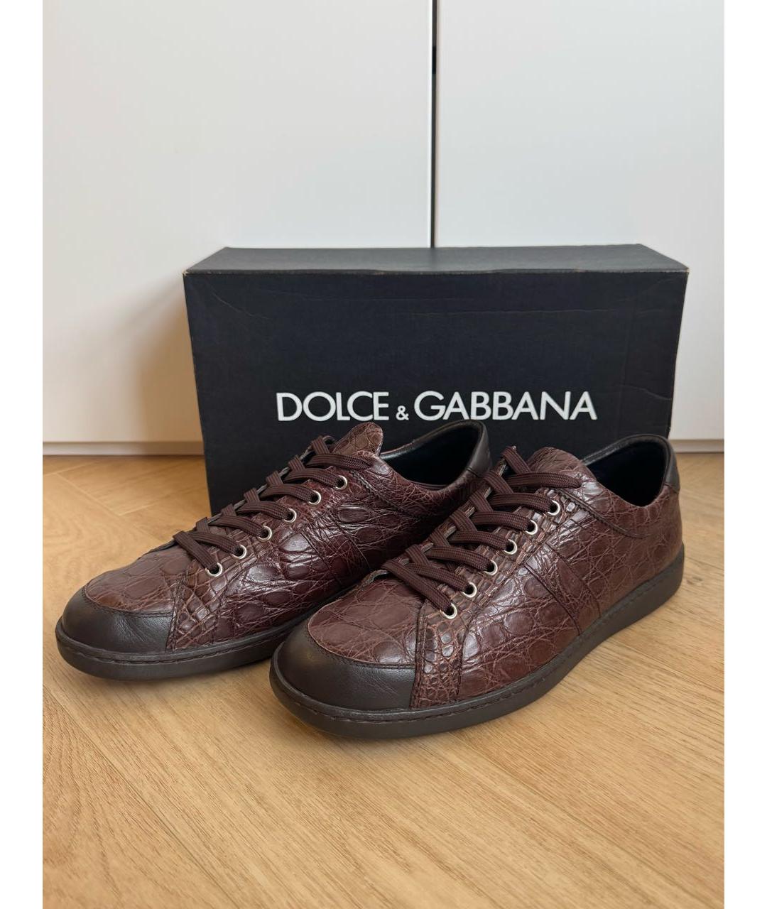 DOLCE&GABBANA Коричневые низкие кроссовки / кеды из экзотической кожи, фото 5