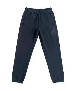 CHROME HEARTS Спортивные брюки и шорты