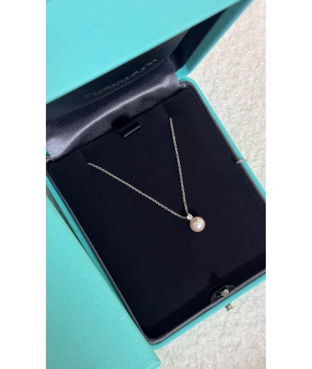 TIFFANY&CO Белое колье из белого золота, фото 2