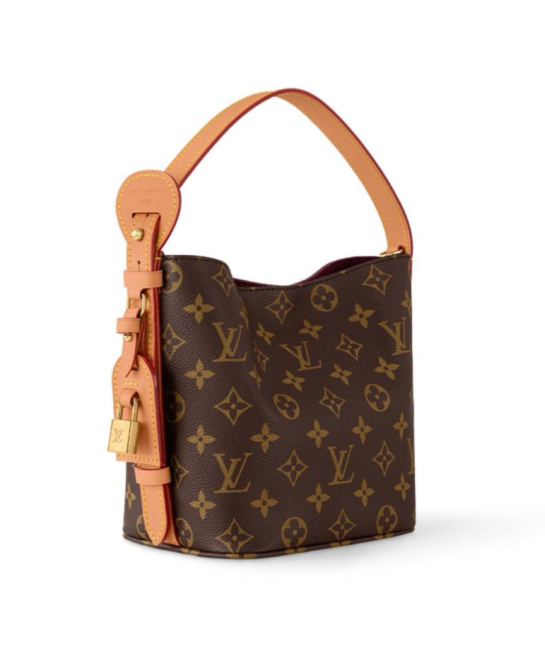 LOUIS VUITTON Коричневая сумка через плечо, фото 4