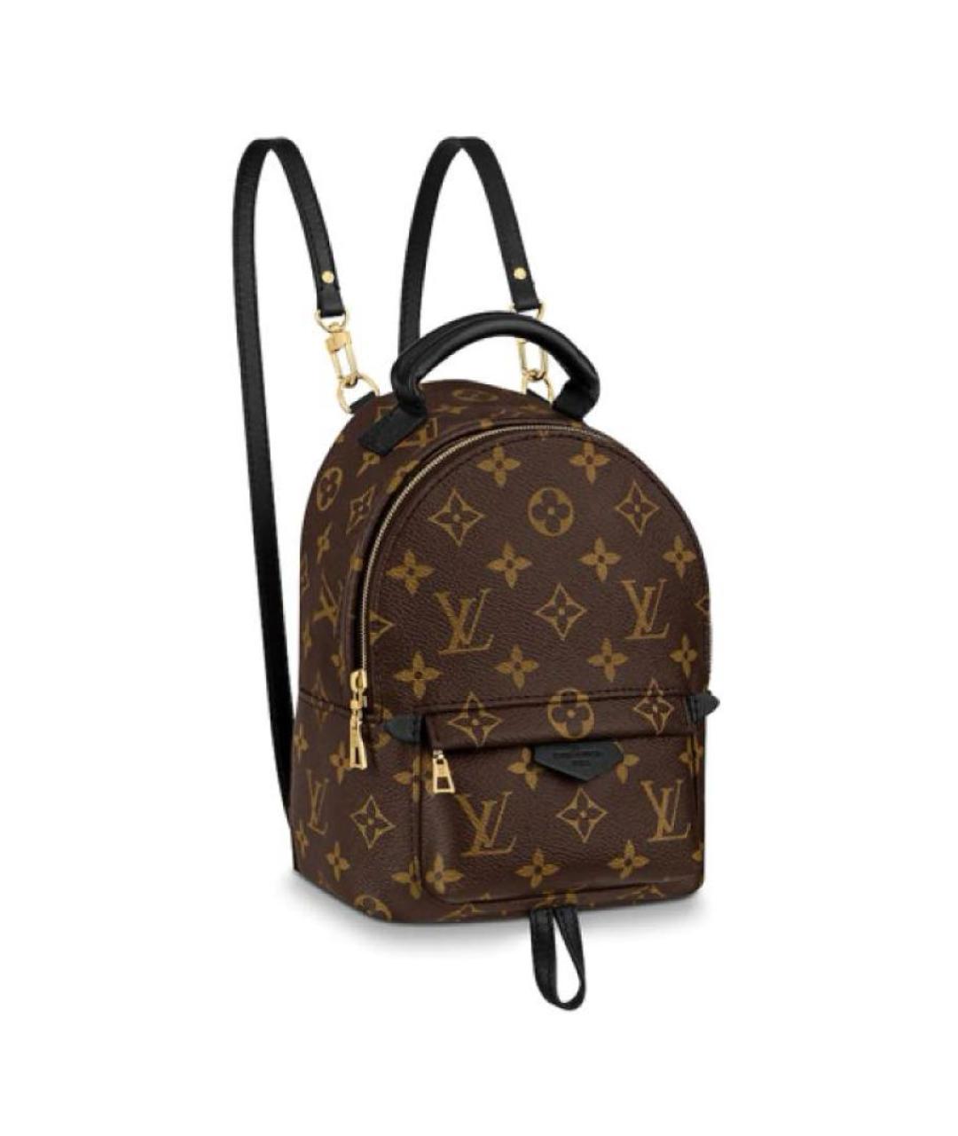 LOUIS VUITTON Коричневый рюкзак, фото 1