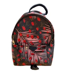 LOUIS VUITTON Рюкзак