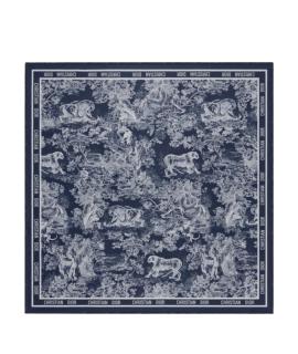 CHRISTIAN DIOR Шарф