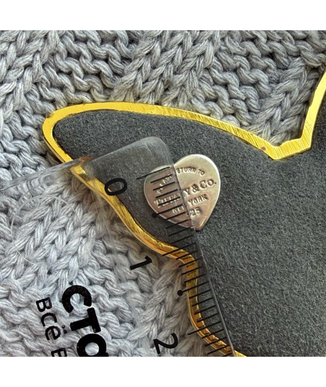 TIFFANY&CO Серебряные серебряные серьги, фото 5