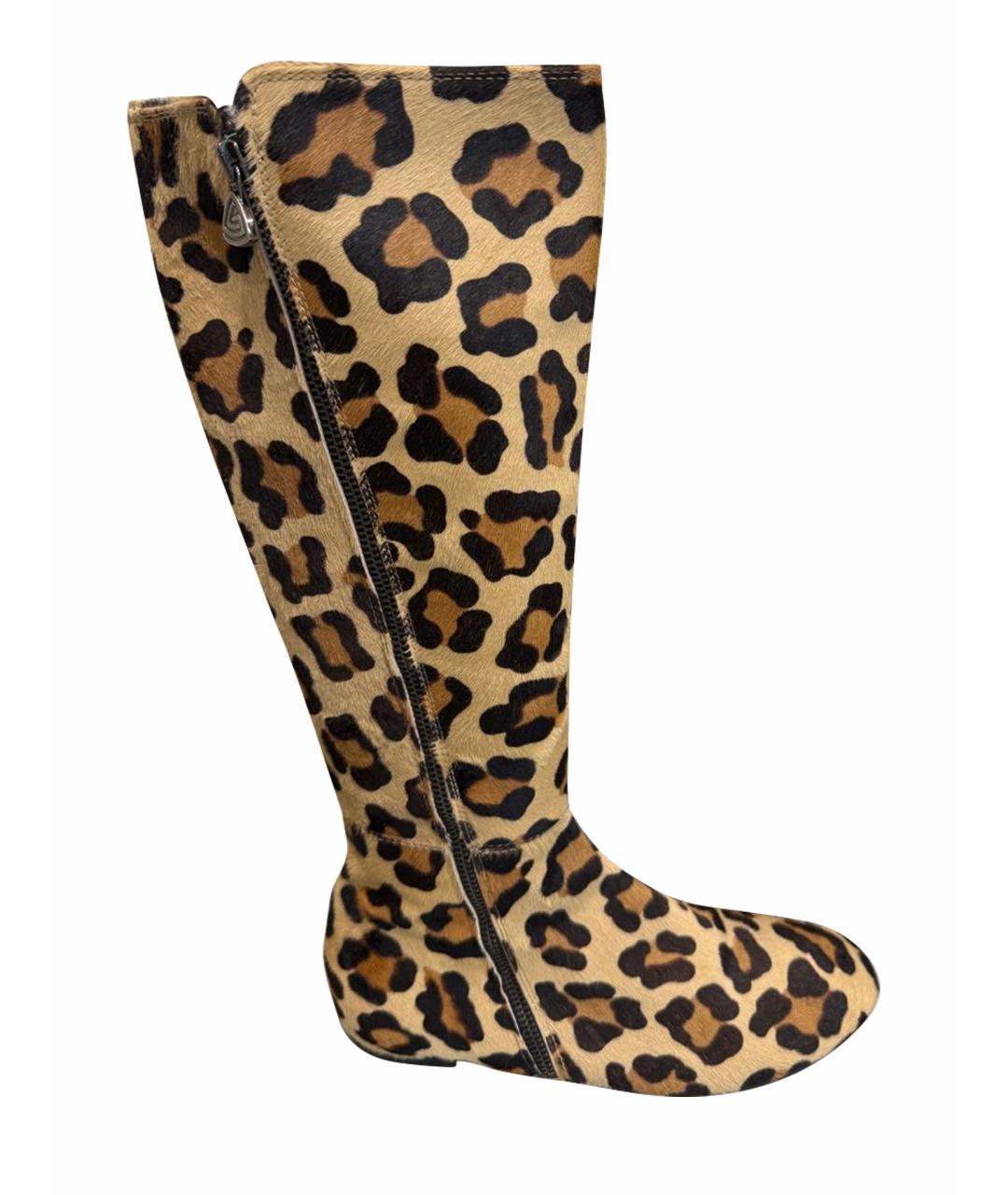 AGL Мульти сапоги, фото 1