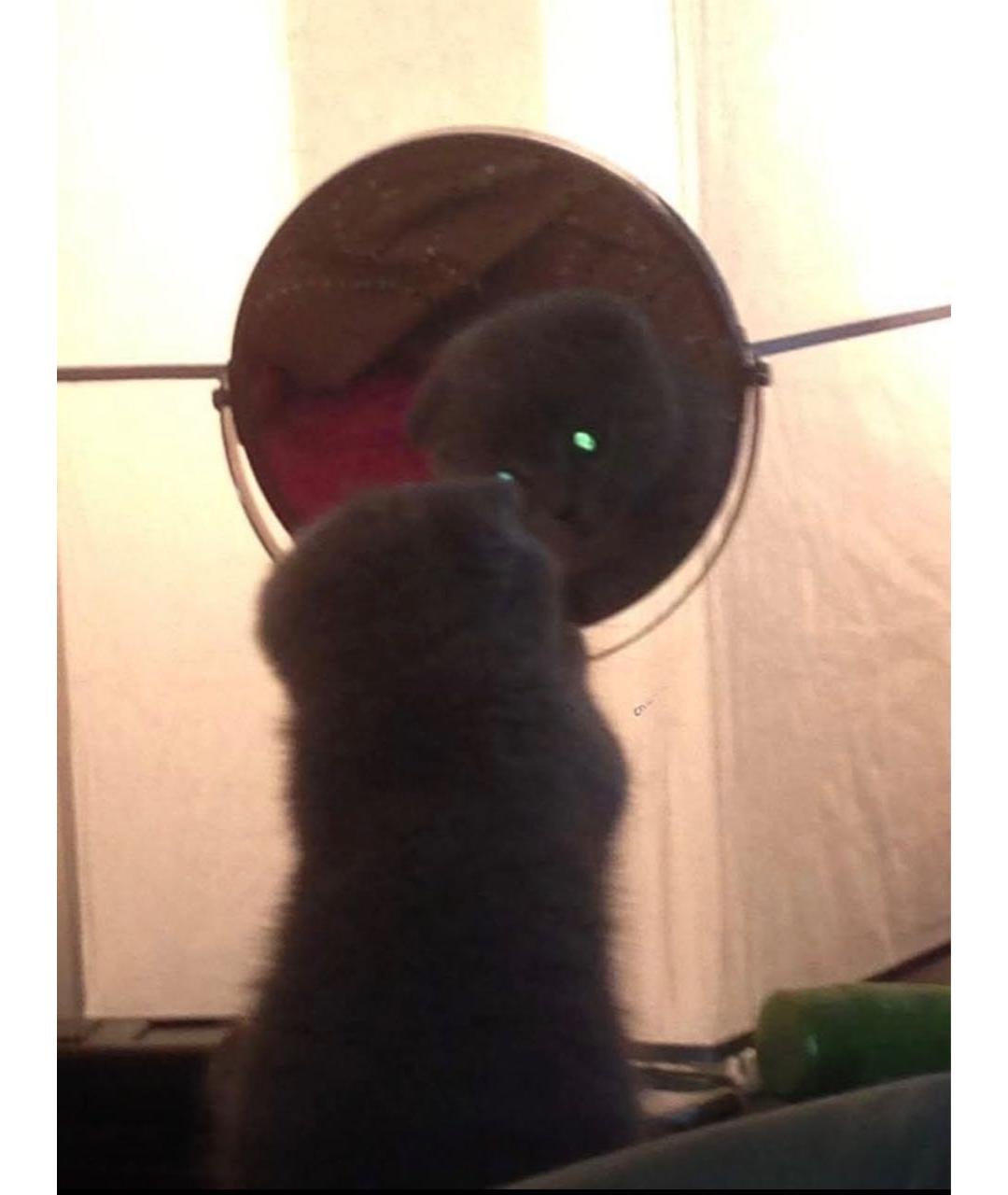 PRADA Серая кожаная сумка тоут, фото 7