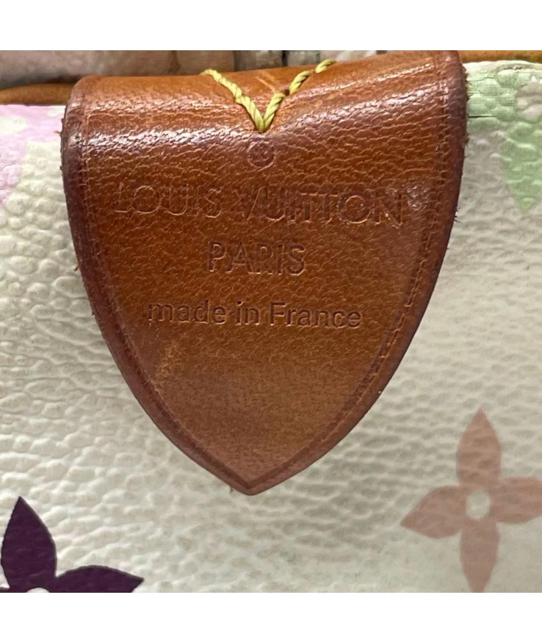 LOUIS VUITTON Мульти кожаная дорожная/спортивная сумка, фото 6