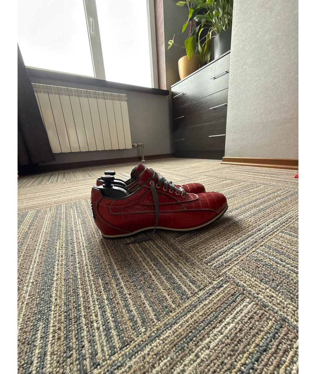 TARDINI Красные кожаные низкие ботинки, фото 5