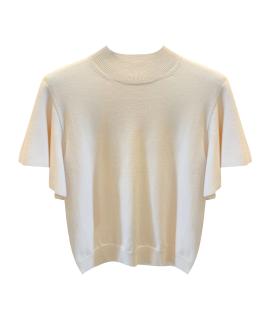 CHLOE Джемпер / свитер