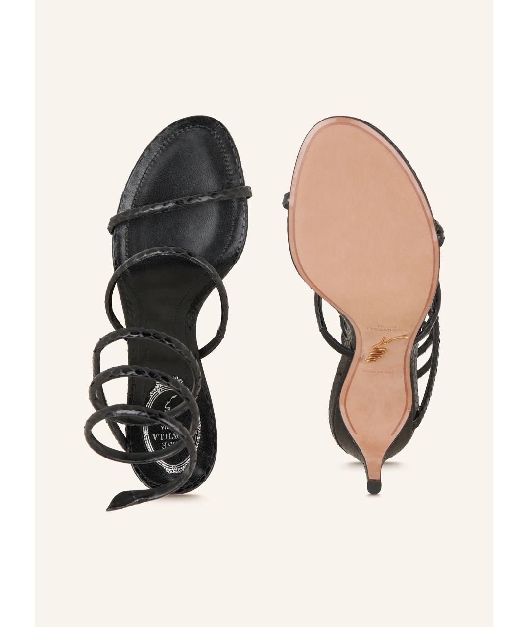 RENE CAOVILLA Черные кожаные босоножки, фото 5