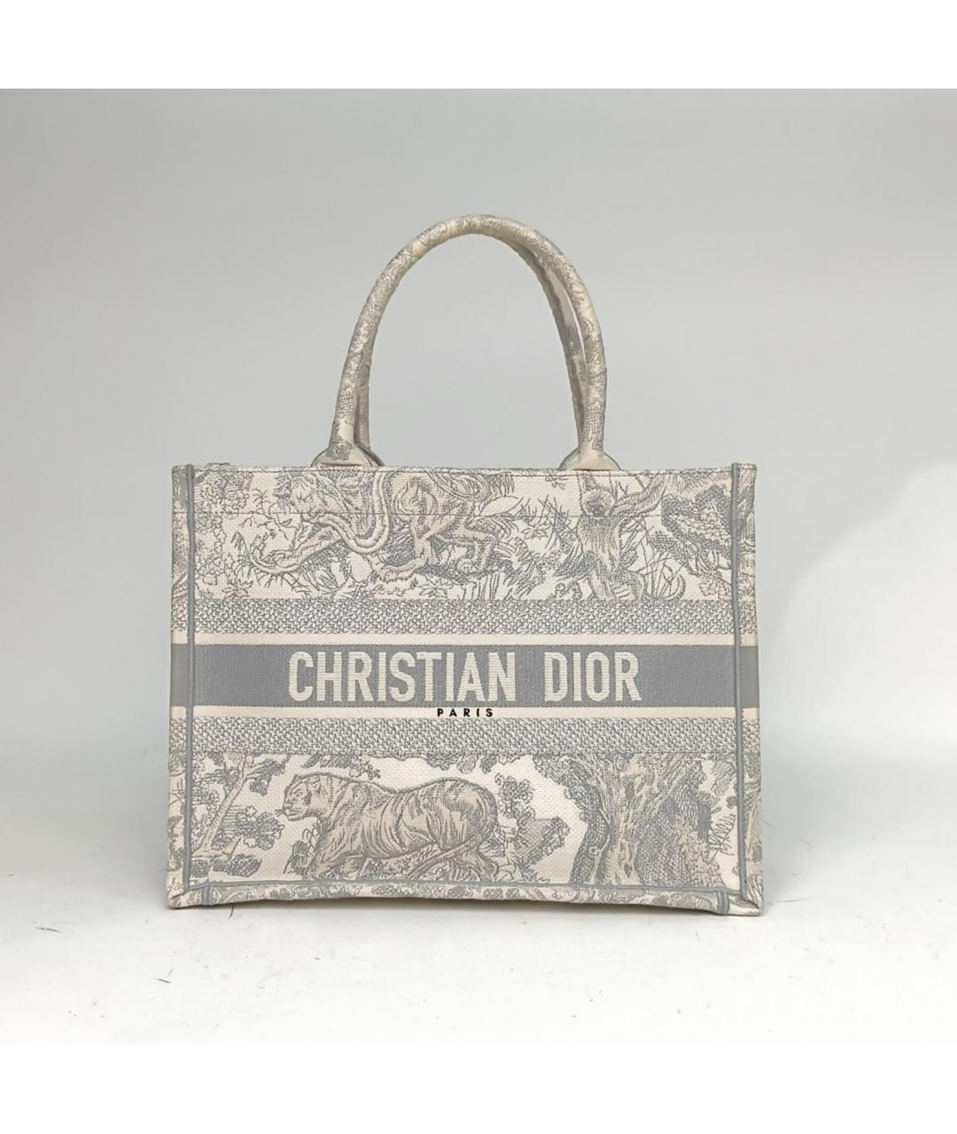 CHRISTIAN DIOR Серая сумка через плечо, фото 2