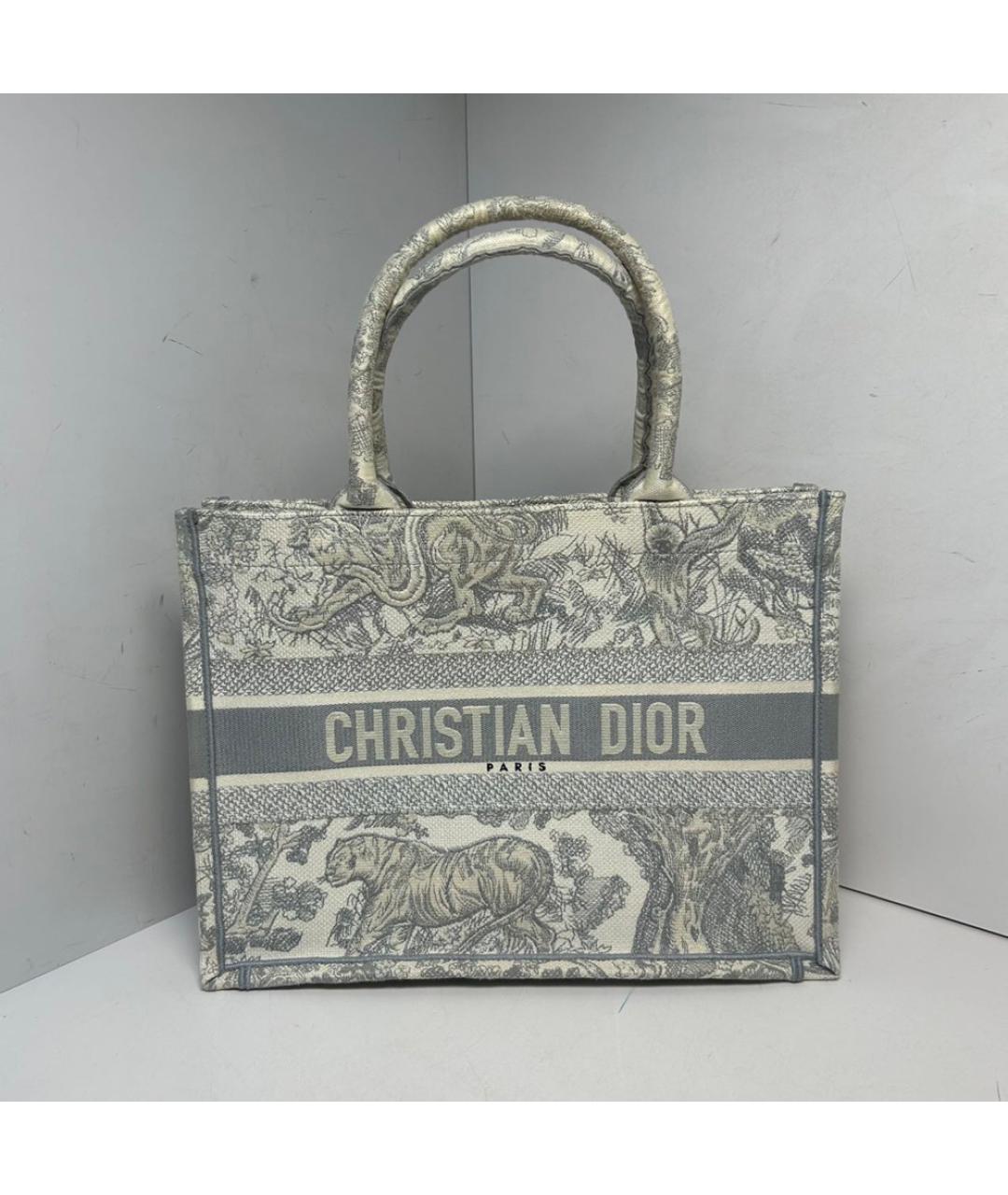 CHRISTIAN DIOR Серая сумка через плечо, фото 8