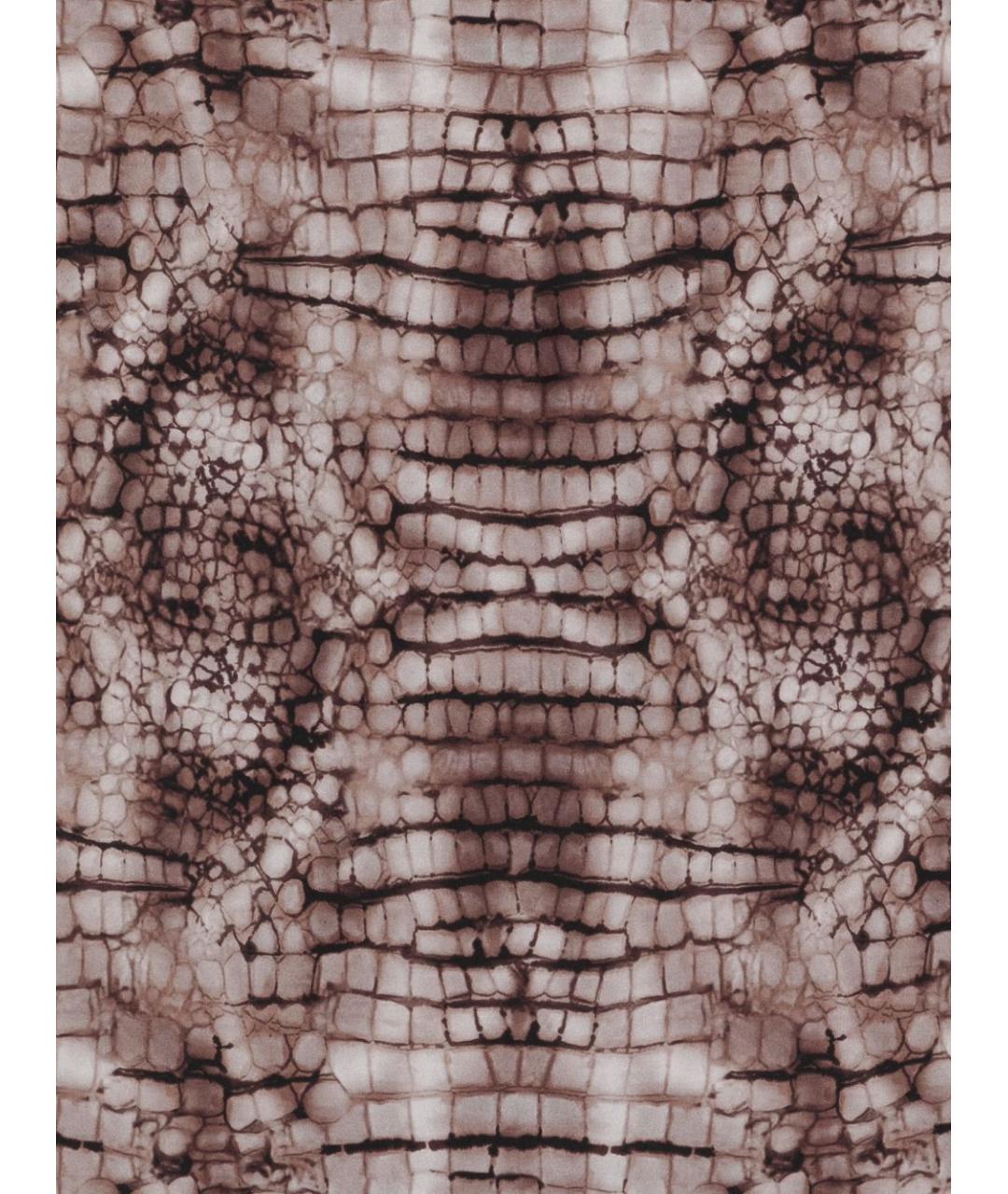 ELISABETTA FRANCHI Коричневый шелковый платок, фото 2