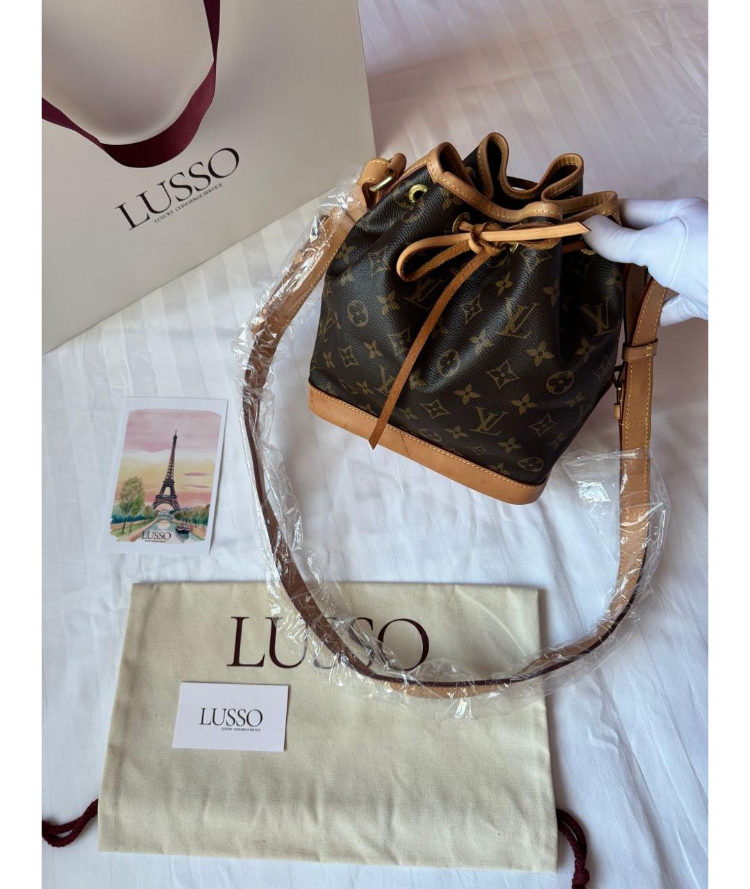 LOUIS VUITTON Коричневая кожаная сумка тоут, фото 4