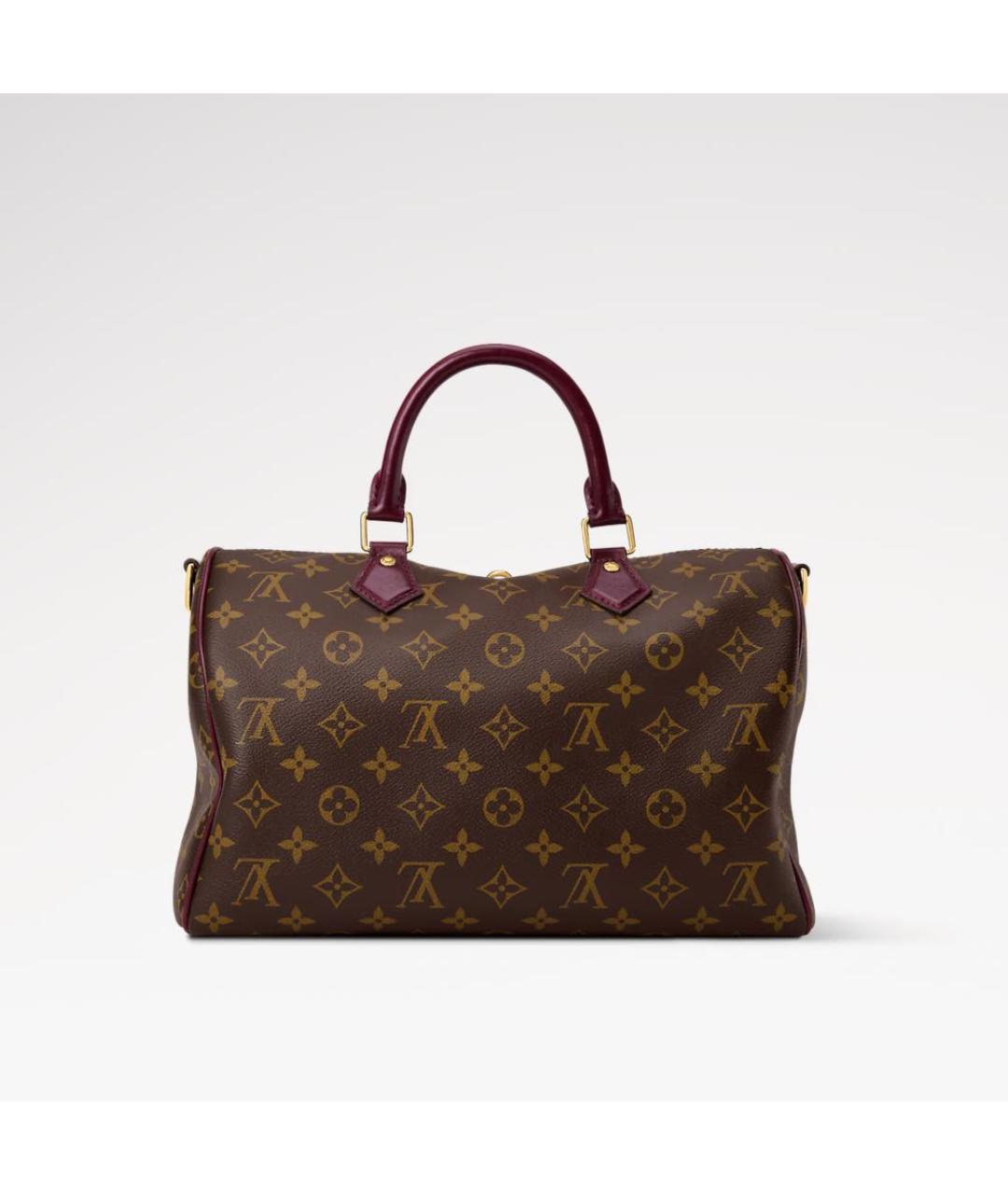 LOUIS VUITTON Коричневая кожаная сумка с короткими ручками, фото 4