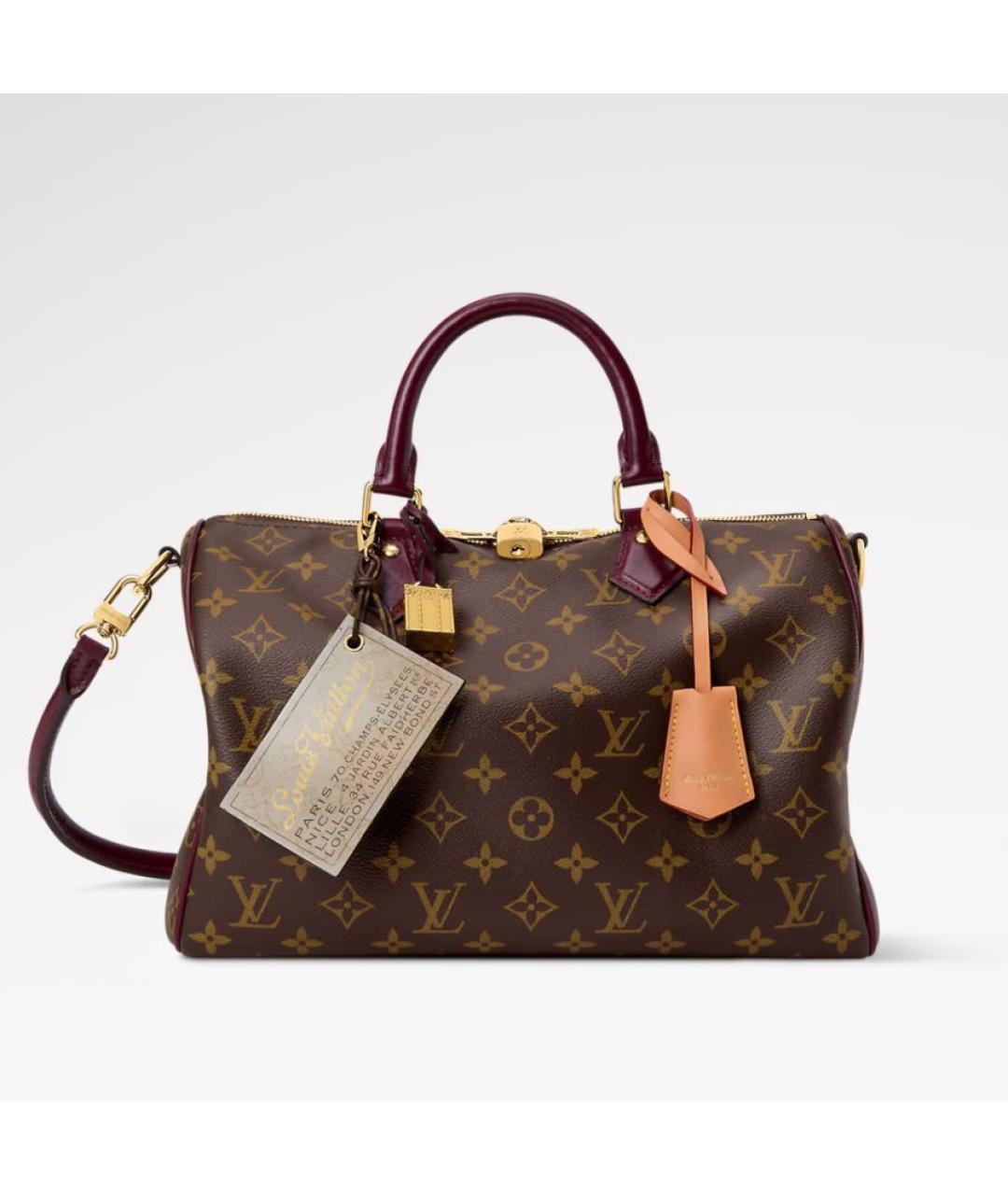 LOUIS VUITTON Коричневая кожаная сумка с короткими ручками, фото 5