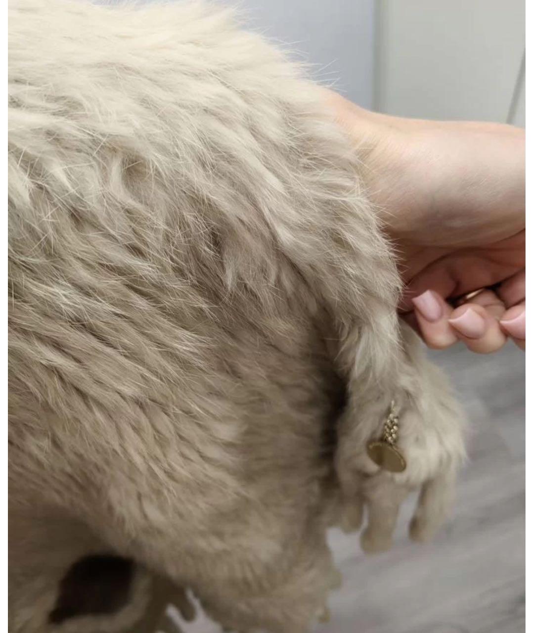 Изображение продукта