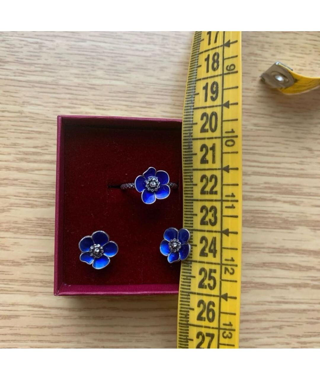 BOTTEGA VENETA Синий серебряный комплект, фото 7