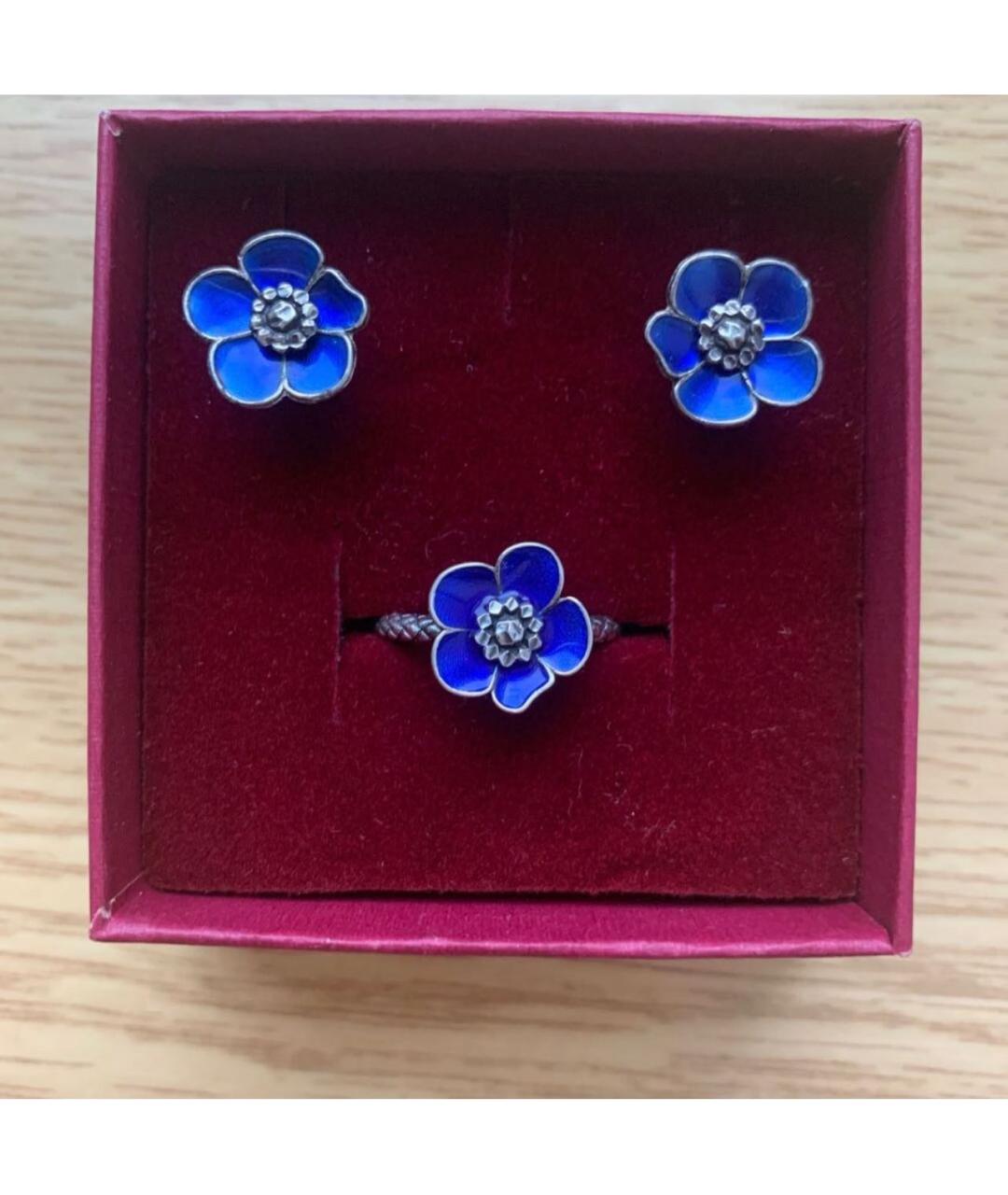 BOTTEGA VENETA Синий серебряный комплект, фото 2