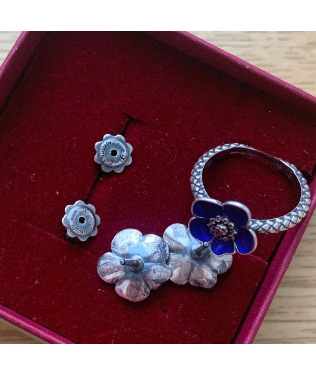 BOTTEGA VENETA Синий серебряный комплект, фото 5