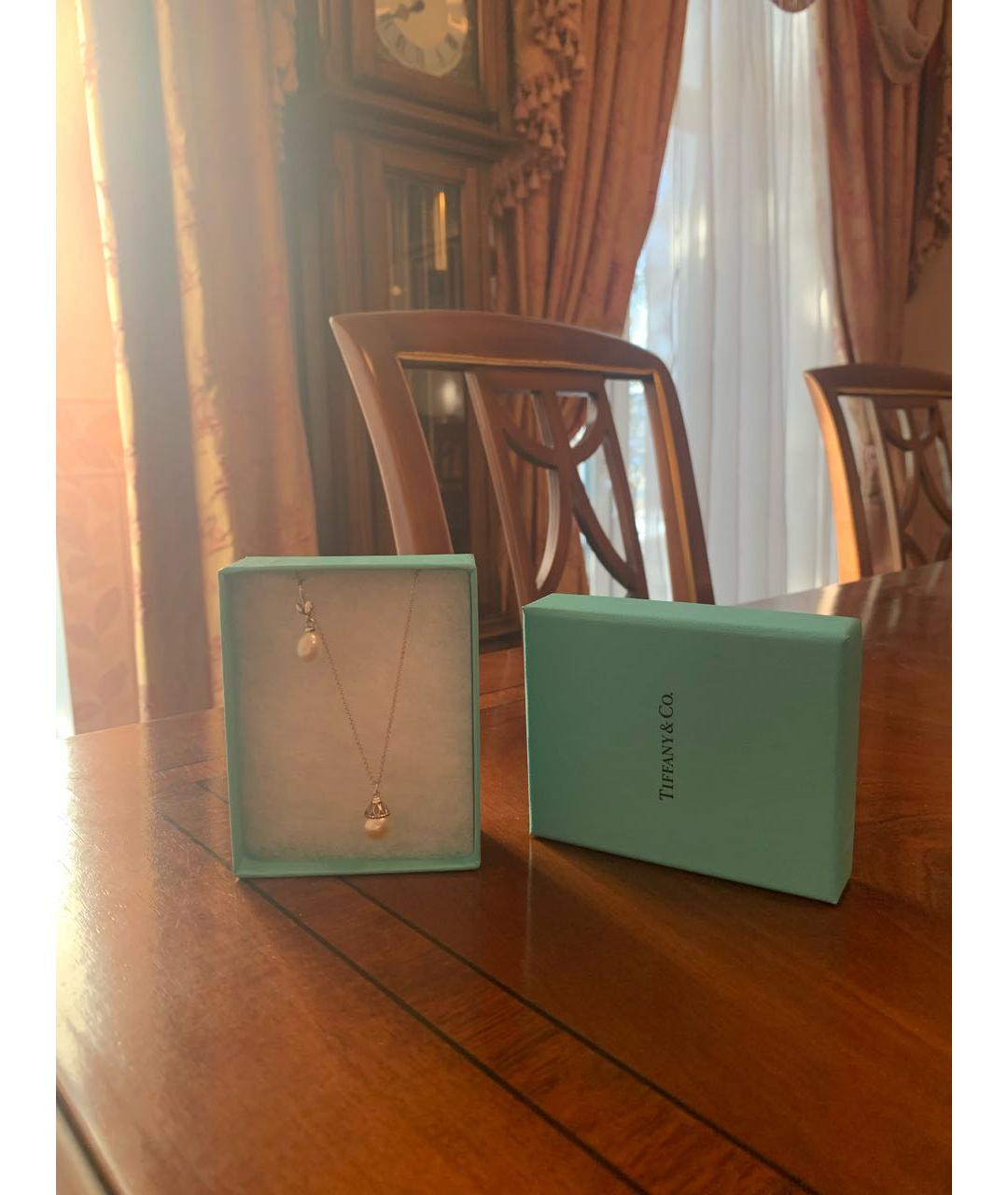 TIFFANY&CO Серебряное серебряное колье, фото 6