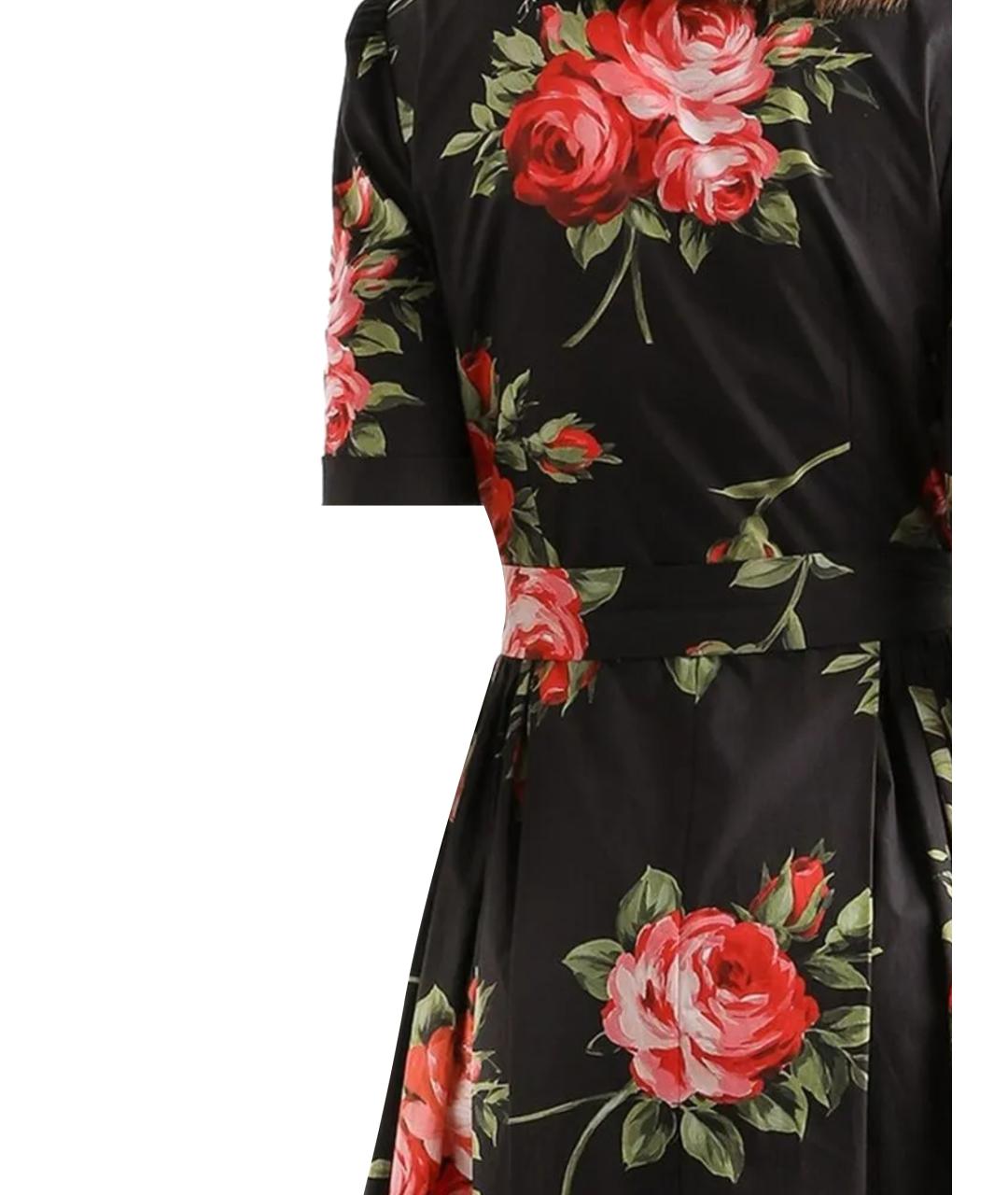 DOLCE&GABBANA Мульти хлопковое повседневное платье, фото 3