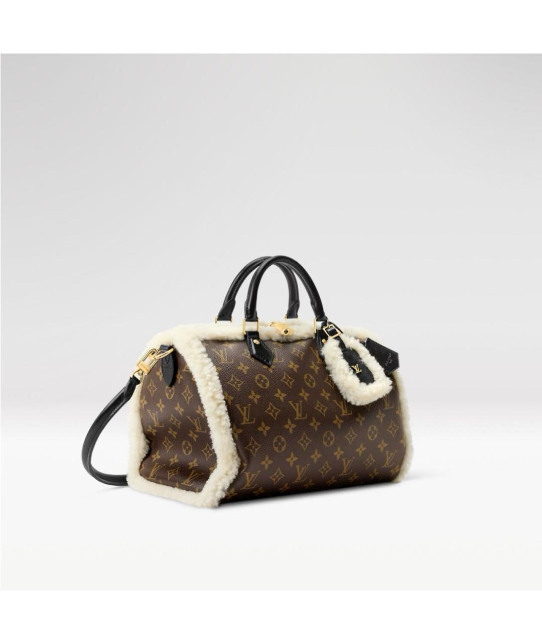 LOUIS VUITTON Коричневая сумка с короткими ручками, фото 4