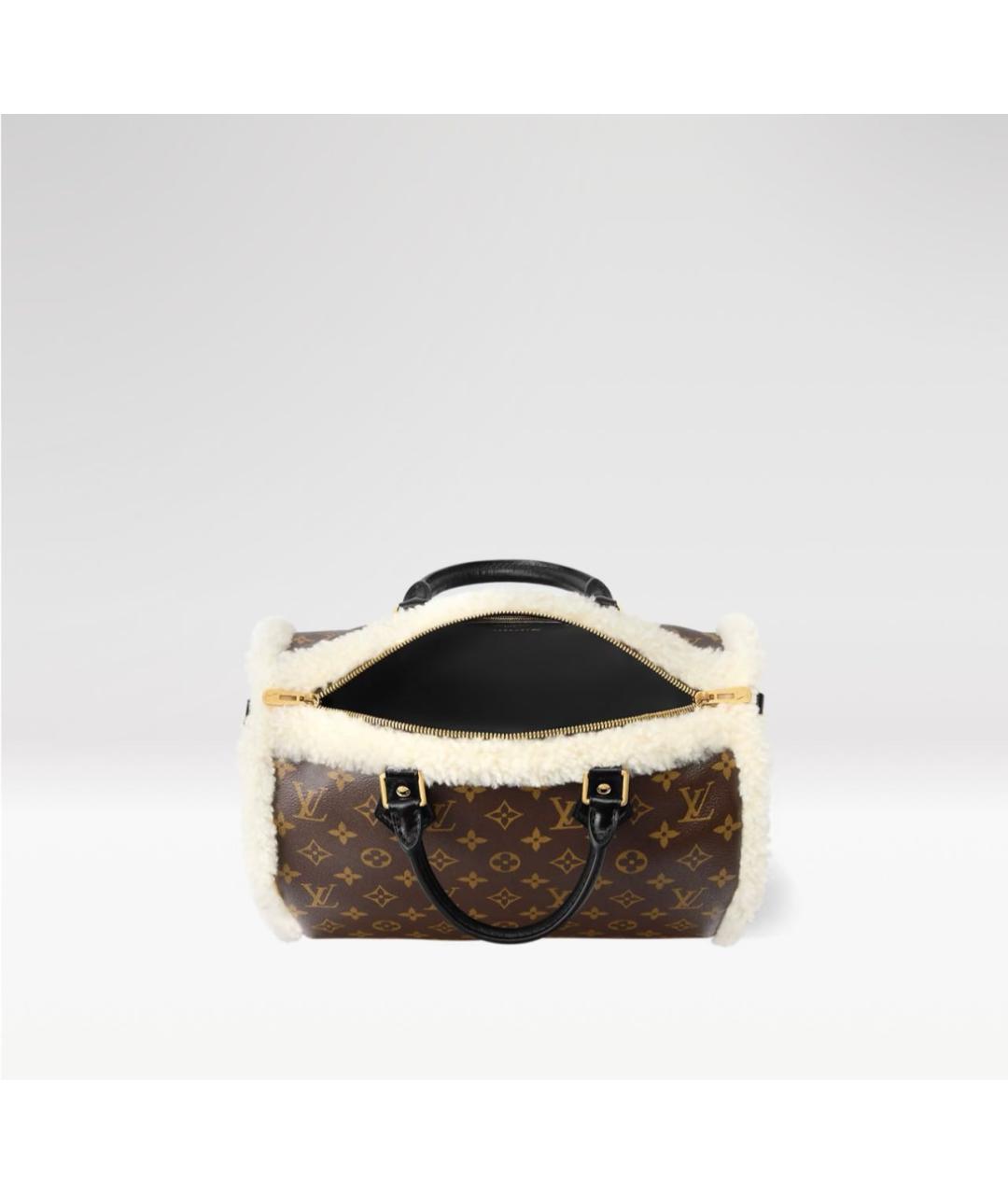 LOUIS VUITTON Коричневая сумка с короткими ручками, фото 2