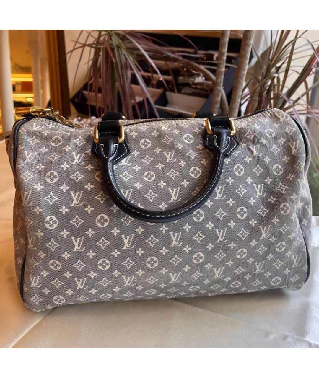 LOUIS VUITTON Сумка с короткими ручками, фото 2