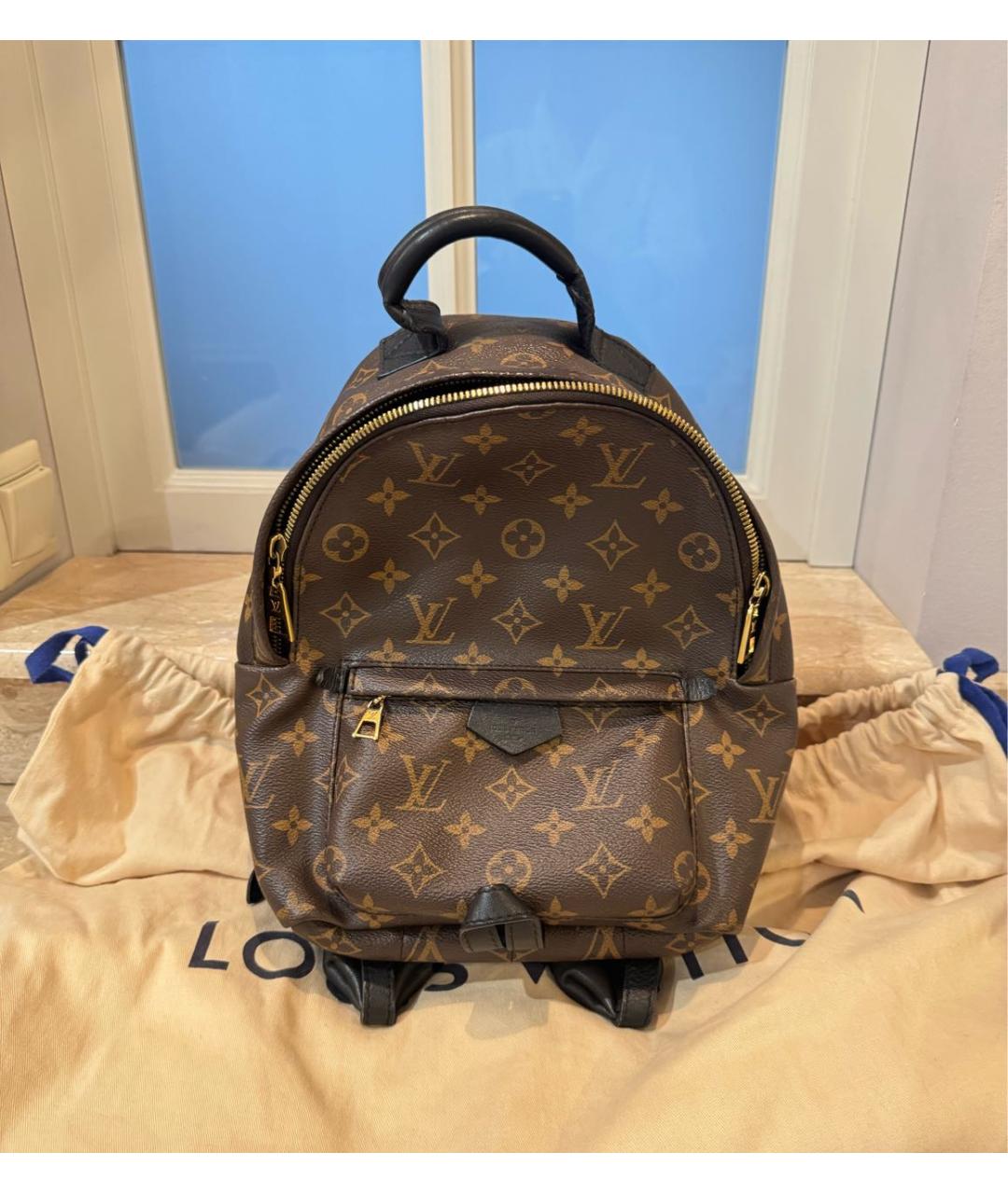 LOUIS VUITTON Коричневый кожаный рюкзак, фото 6