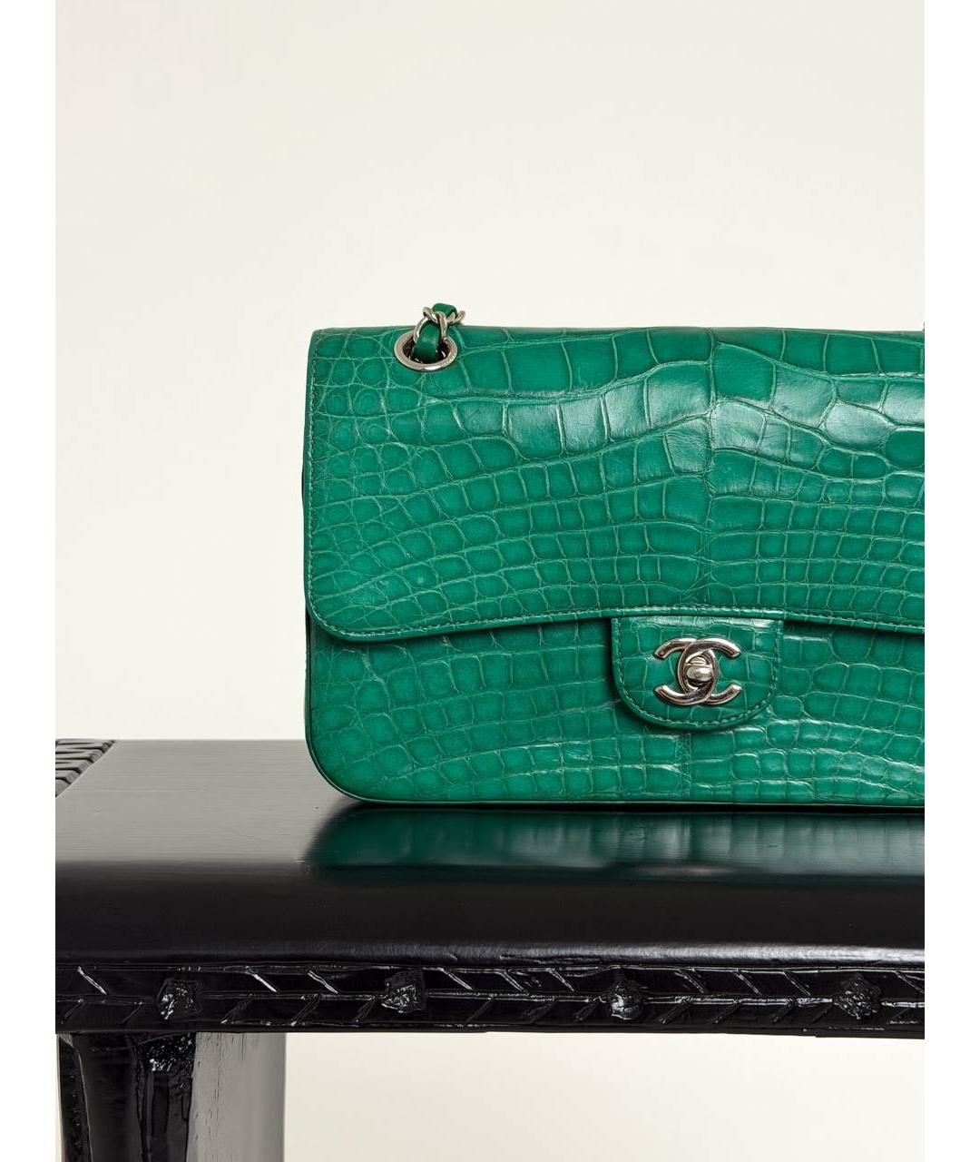 CHANEL Зеленая сумка через плечо из экзотической кожи, фото 2