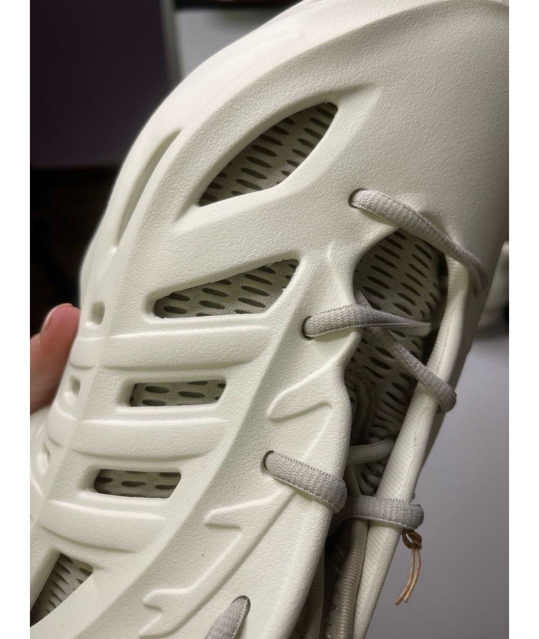 ADIDAS Бежевые низкие кроссовки / кеды, фото 6