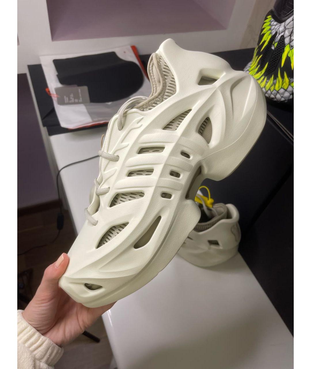 ADIDAS Бежевые низкие кроссовки / кеды, фото 5