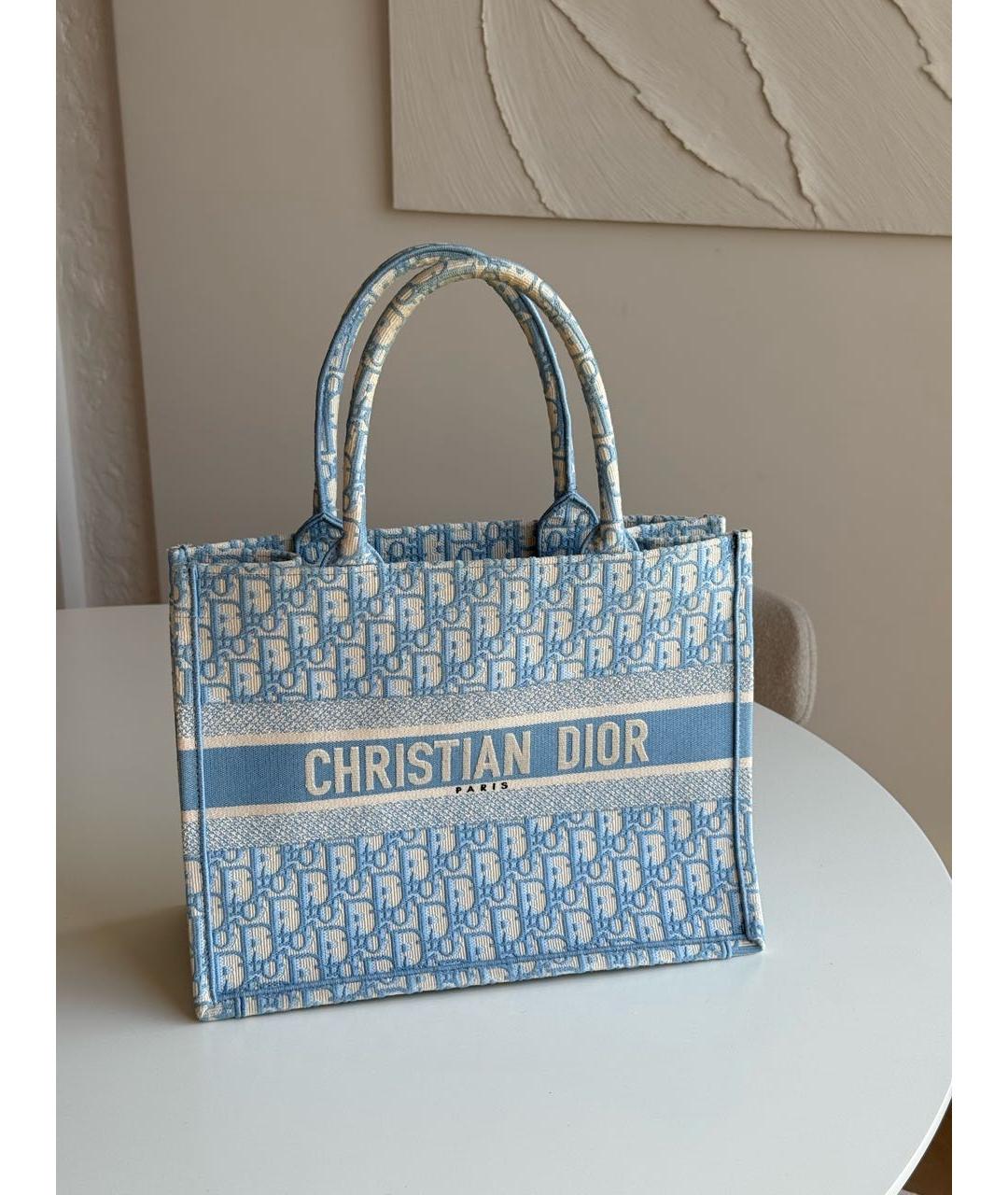 CHRISTIAN DIOR Голубая тканевая сумка тоут, фото 5