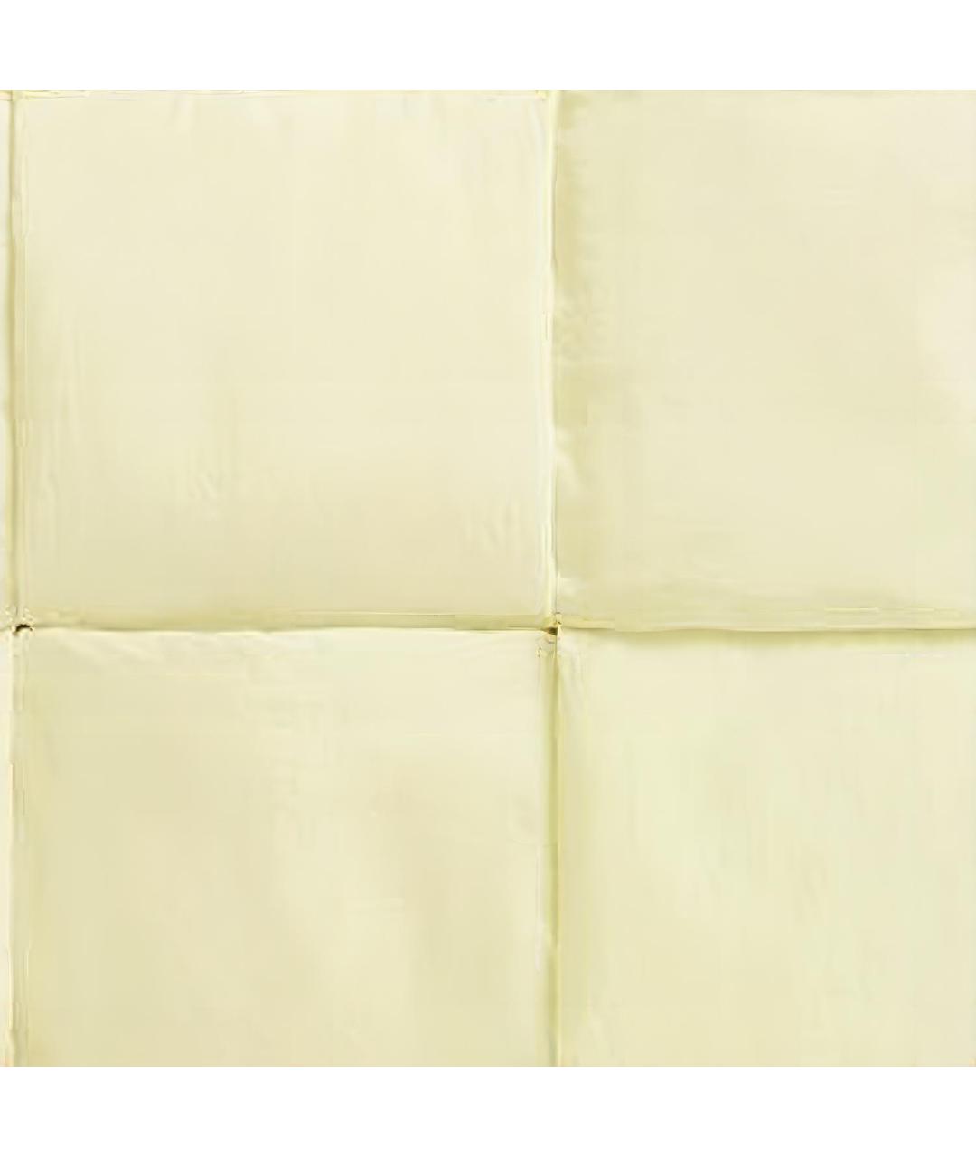 BOTTEGA VENETA Бежевая сумка через плечо, фото 5