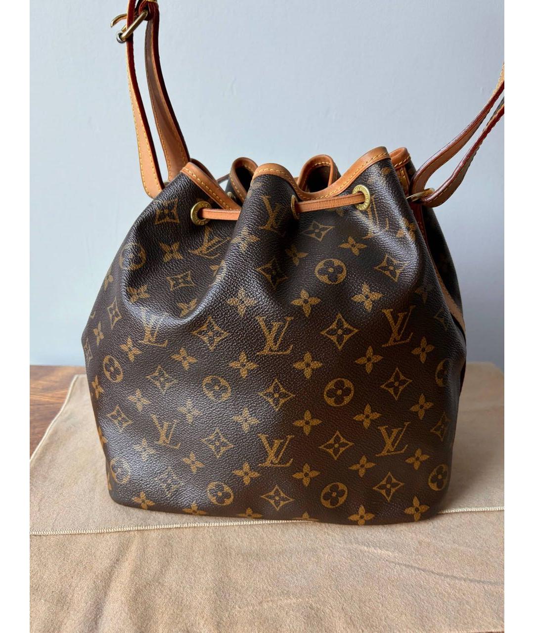 LOUIS VUITTON Коричневая сумка тоут, фото 3