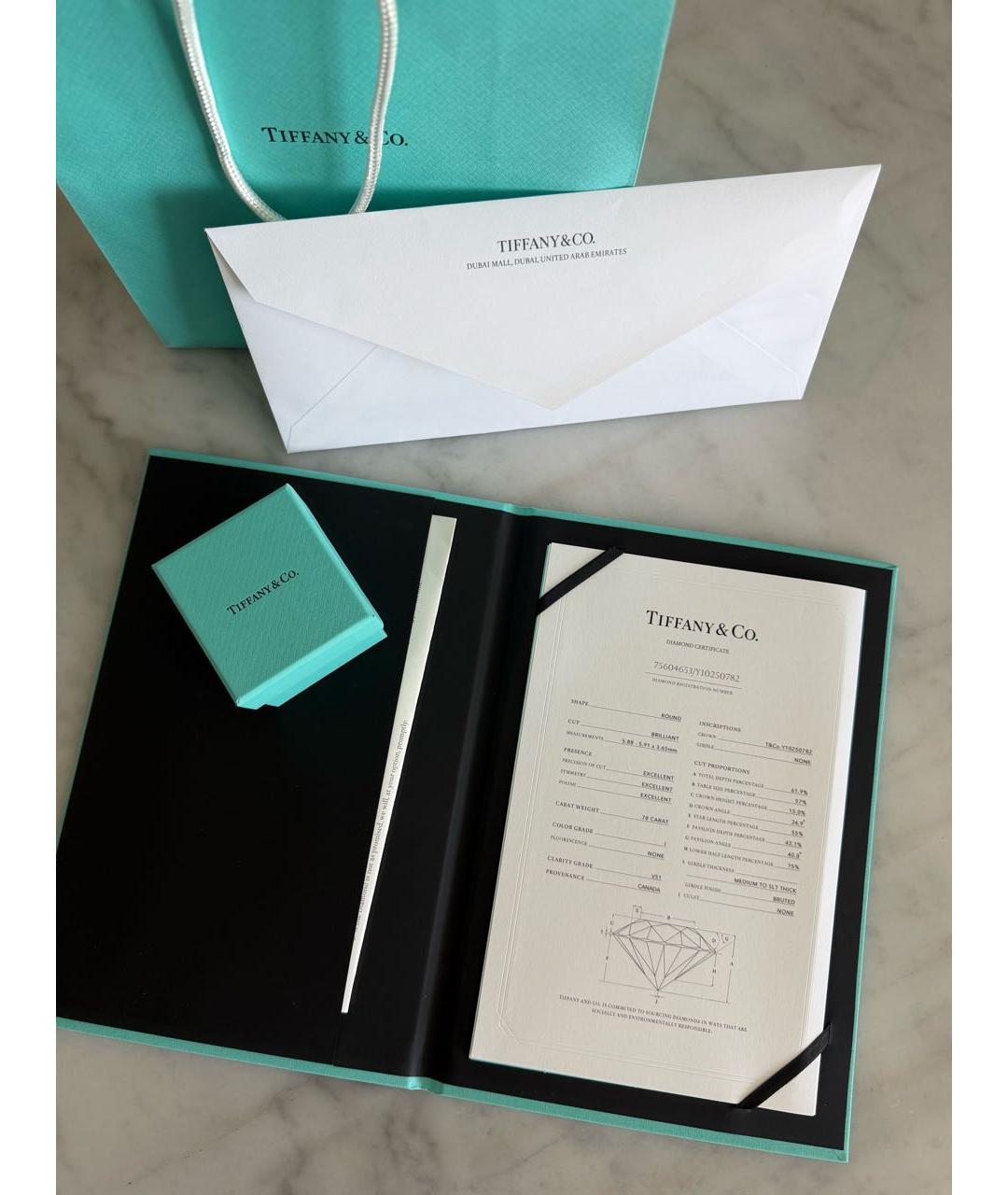 TIFFANY&CO Серебряное кольцо из белого золота, фото 3
