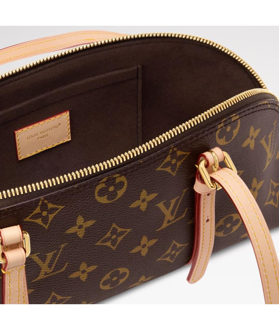 LOUIS VUITTON Коричневая сумка тоут, фото 4