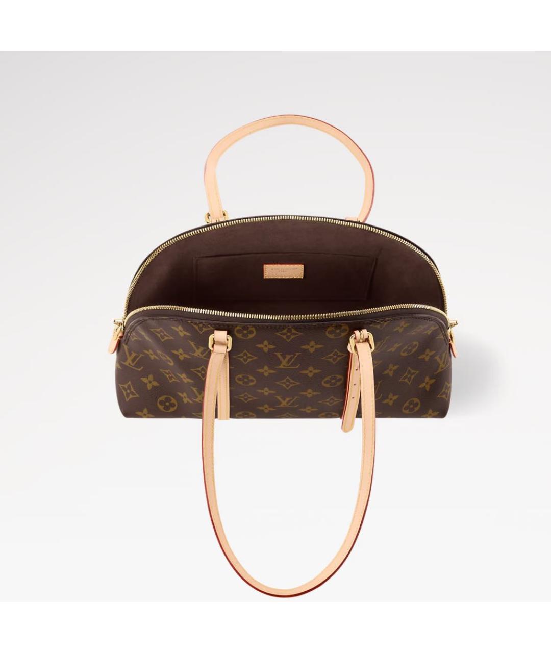 LOUIS VUITTON Коричневая сумка тоут, фото 2