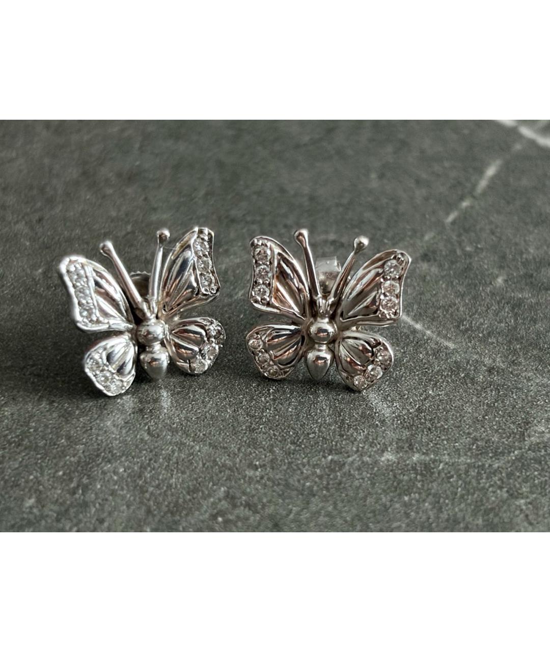 DAMIANI Серебряные серьги из белого золота, фото 2