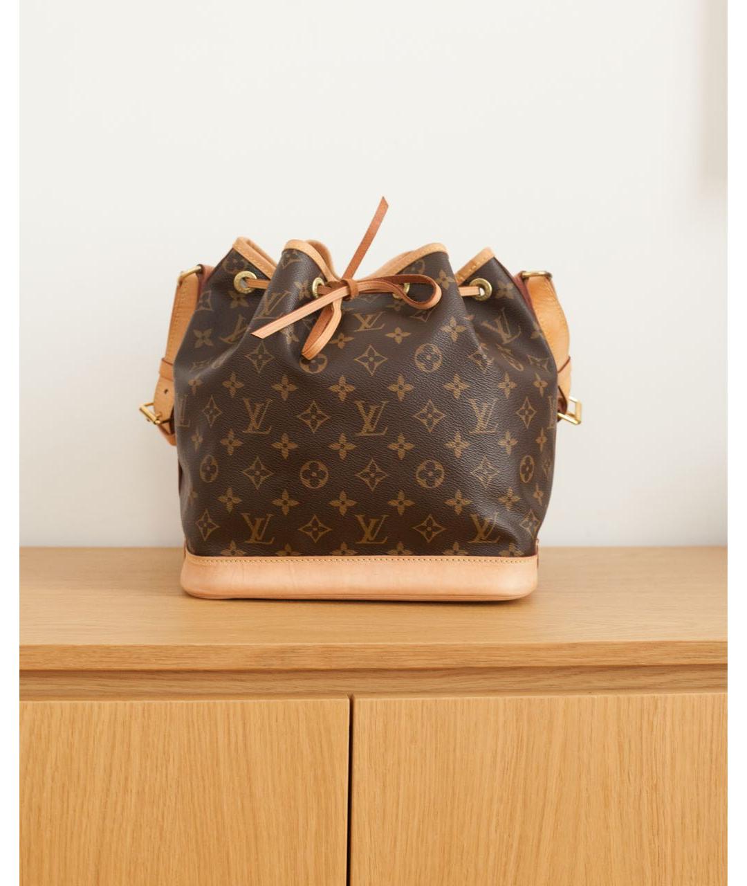 LOUIS VUITTON Коричневая сумка тоут, фото 6