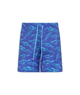 VILEBREQUIN Шорты