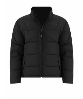 THE NORTH FACE Пуховик
