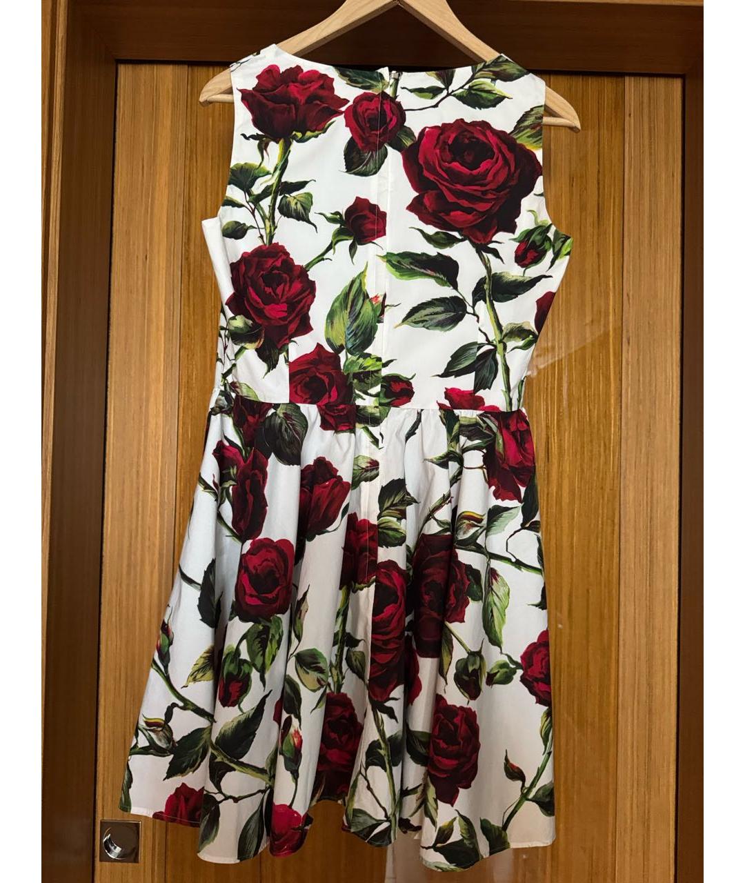 DOLCE&GABBANA Мульти хлопковое повседневное платье, фото 2