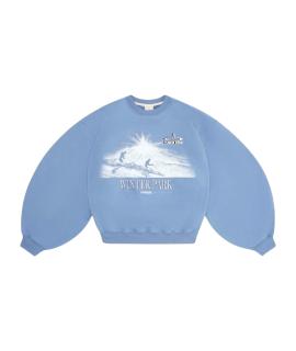 PLANTA ROSA Худи/толстовка